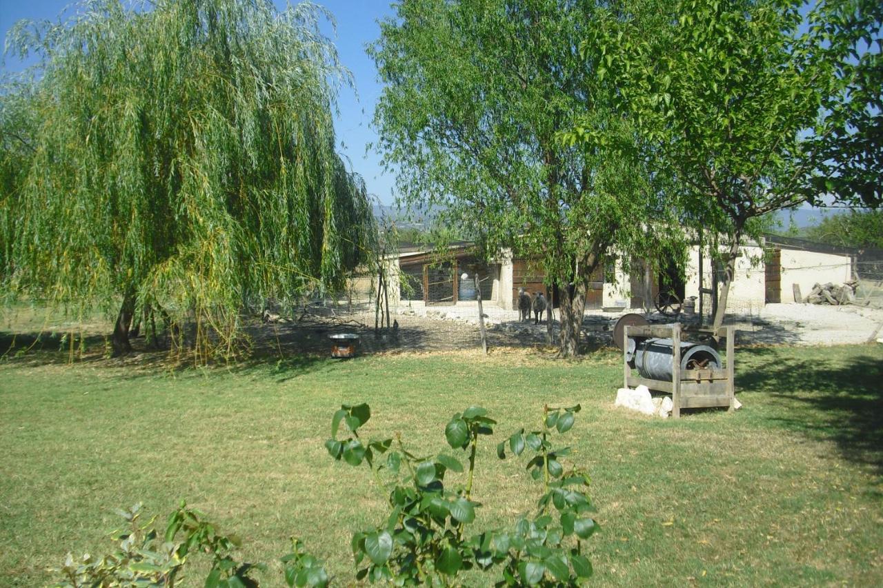 Apartamento Lou Mas Li Pitchoun "Le Cortassien " Gordes Exterior foto